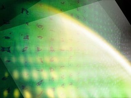文本分类驱动业务增长的秘密